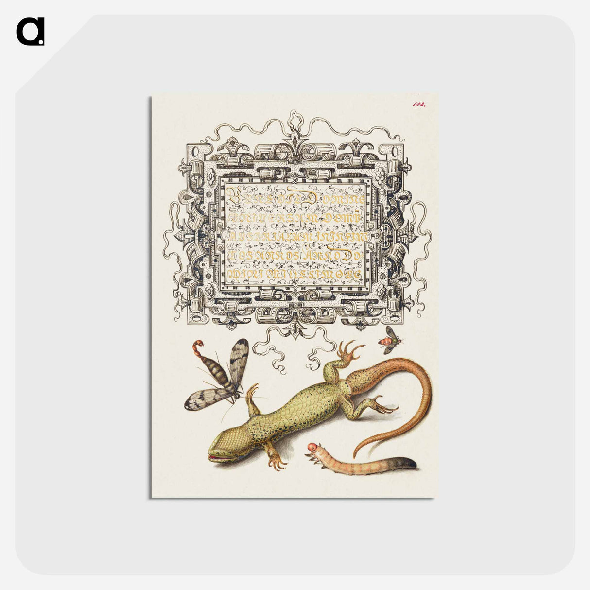 アートポストカード-Scorpionfly, Insect, Lizard, and Insect Larva from Mira Calligraphiae Monumenta
 - 書道のお手本 Postcard.
