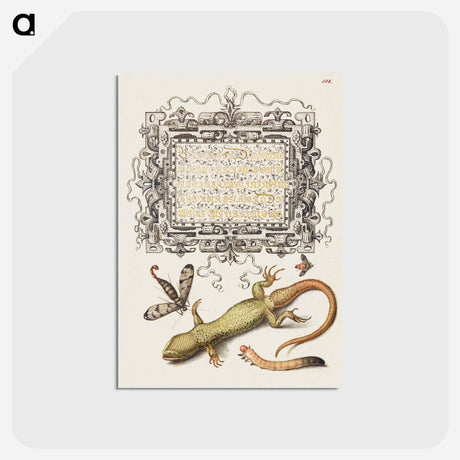 アートポストカード-Scorpionfly, Insect, Lizard, and Insect Larva from Mira Calligraphiae Monumenta
 - 書道のお手本 Postcard.