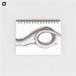 1-64_The-Natural-History-of-British-Fishes_memo