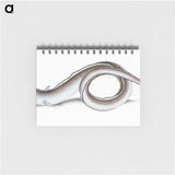1-64_The-Natural-History-of-British-Fishes_memo
