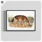 1-64_The-Viviparous-Quadrupeds_blk-crop
