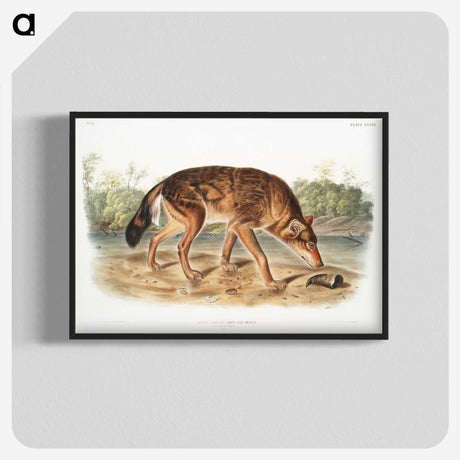 1-64_The-Viviparous-Quadrupeds_blk-crop