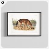 1-64_The-Viviparous-Quadrupeds_blk