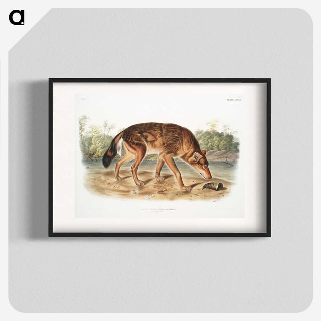 1-64_The-Viviparous-Quadrupeds_blk