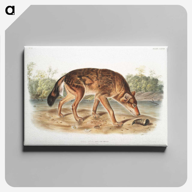 1-64_The-Viviparous-Quadrupeds_canvas