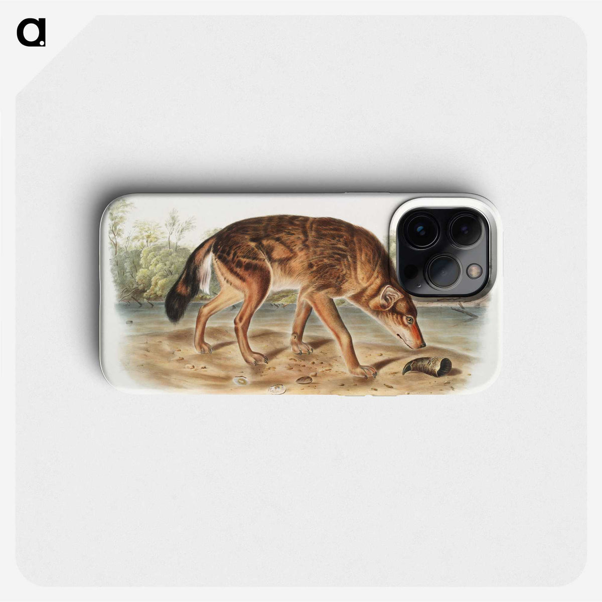 1-64_The-Viviparous-Quadrupeds_phone