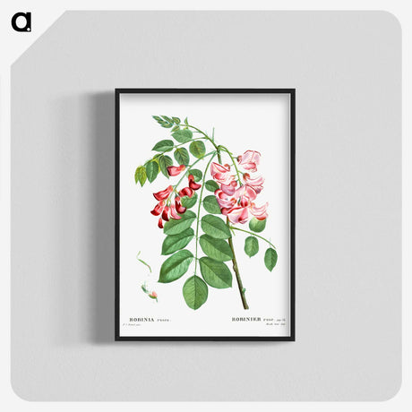 1-64_Treatise-on-Trees-and-Shrubs_blk-crop
