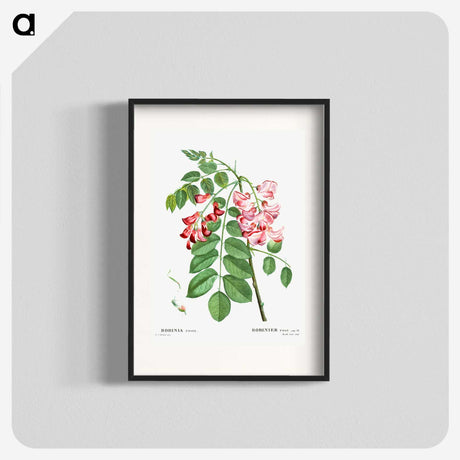 1-64_Treatise-on-Trees-and-Shrubs_blk