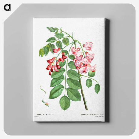 1-64_Treatise-on-Trees-and-Shrubs_canvas