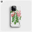 1-64_Treatise-on-Trees-and-Shrubs_phone