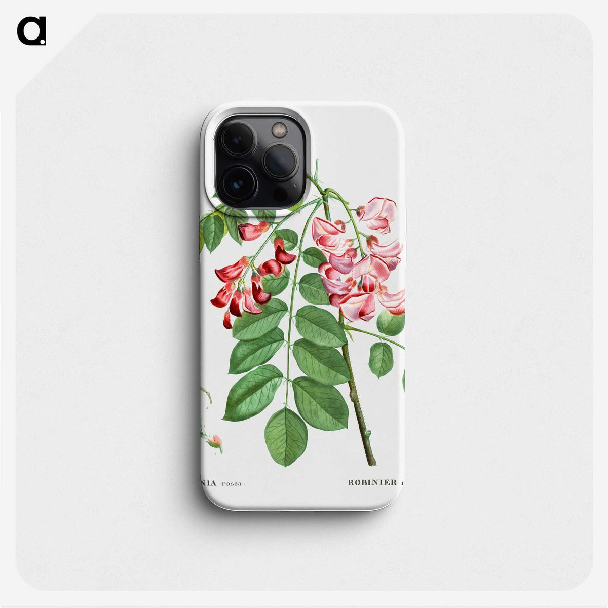 1-64_Treatise-on-Trees-and-Shrubs_phone
