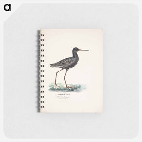 アートメモ帳-Spotted redshank in summer - ヴィルヘルム フォン ライト Memo.