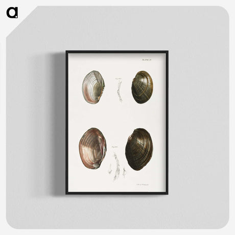 1-64_Zoology-of-New-York_blk-crop