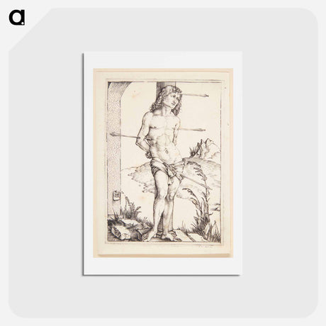 アートポストカード-Saint Sebastian, tied to a column - アルブレヒト デューラー Postcard.