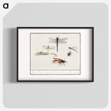 Natural History Ensemble, no. 2 - アンセルムス ボエティウス デ ブート Poster.