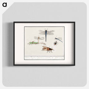 アートポスター-Natural History Ensemble, no. 2 - アンセルムス ボエティウス デ ブート Poster.