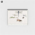 1-65_Anselmus-Boetius-de-Boodt_memo