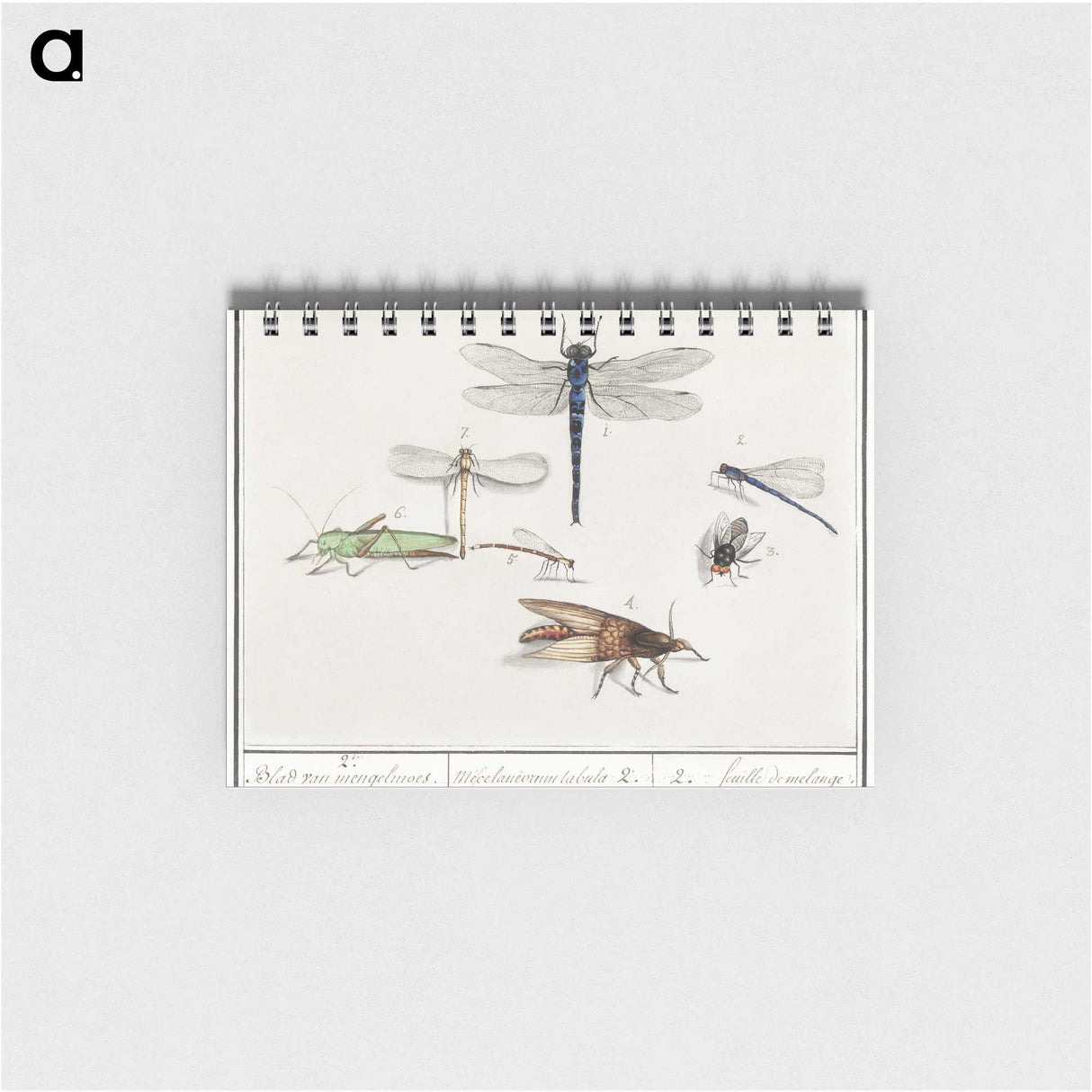 1-65_Anselmus-Boetius-de-Boodt_memo