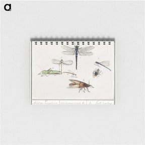 1-65_Anselmus-Boetius-de-Boodt_memo