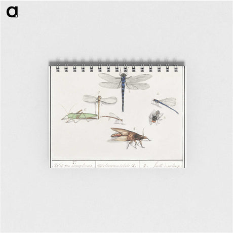 1-65_Anselmus-Boetius-de-Boodt_memo