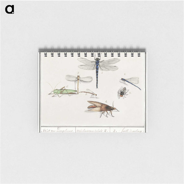 1-65_Anselmus-Boetius-de-Boodt_memo