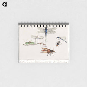 アートメモ帳-Natural History Ensemble, no. 2 - アンセルムス ボエティウス デ ブート Memo.