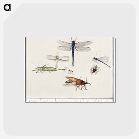 アートポストカード-Natural History Ensemble, no. 2 - アンセルムス ボエティウス デ ブート Postcard.