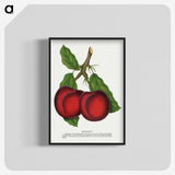 1-65_Botanical-Specimen-Plates_blk-crop