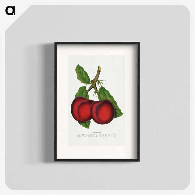 1-65_Botanical-Specimen-Plates_blk