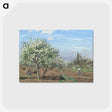 1-65_Camille-Pissarro_postcard
