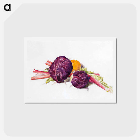 アートポストカード-Red Cabbages, Rhubarb and Orange - チャールズ デムス Postcard.
