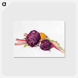 アートポストカード-Red Cabbages, Rhubarb and Orange - チャールズ デムス Postcard.