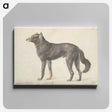 1-65_Charles-Hamilton-Smith_canvas