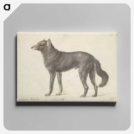 1-65_Charles-Hamilton-Smith_canvas