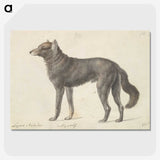 1-65_Charles-Hamilton-Smith_picture-crop