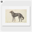1-65_Charles-Hamilton-Smith_picture
