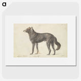1-65_Charles-Hamilton-Smith_picture
