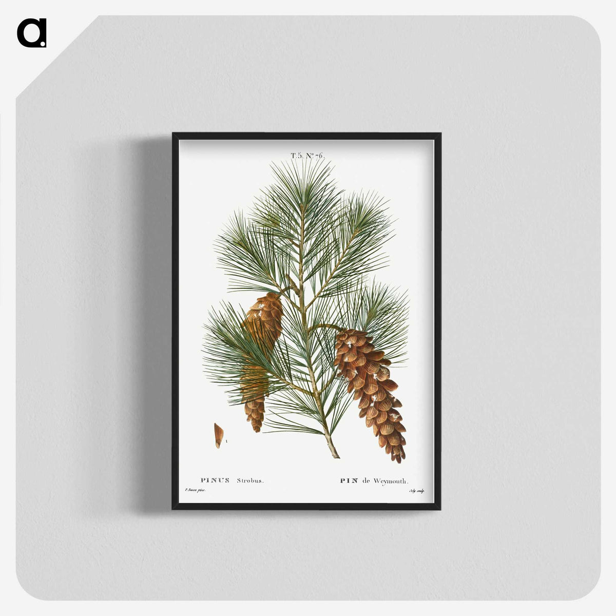 1-65_Christmas_blk-crop