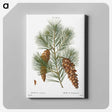 1-65_Christmas_canvas