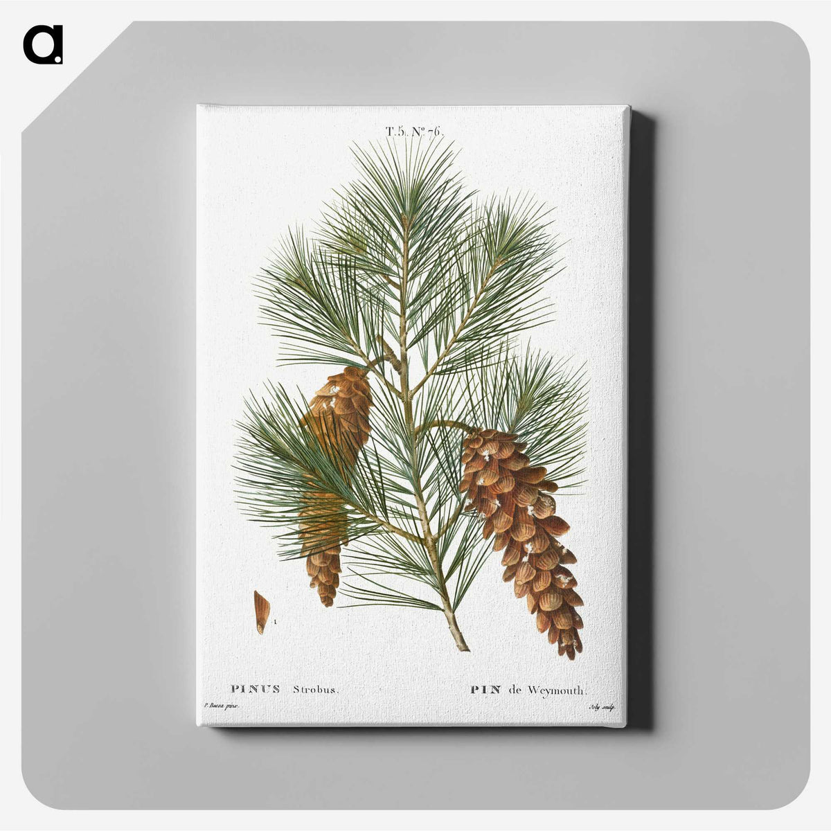 1-65_Christmas_canvas