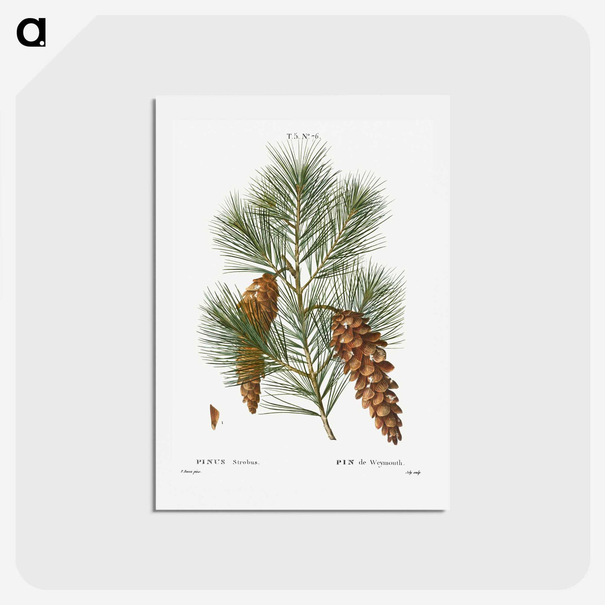 1-65_Christmas_hagaki