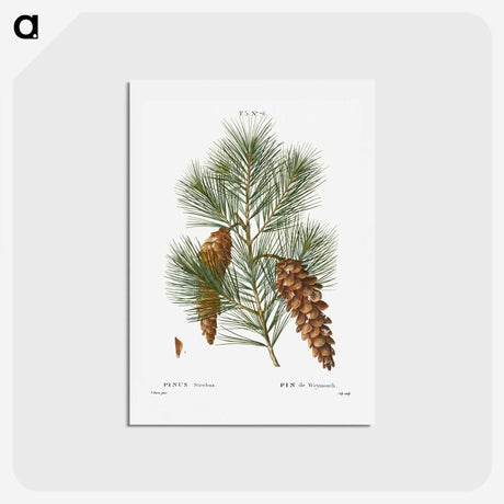 1-65_Christmas_hagaki