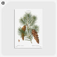 1-65_Christmas_postcard