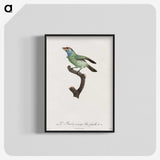 1-65_Des-Oiseaux-de-Paradis_blk-crop