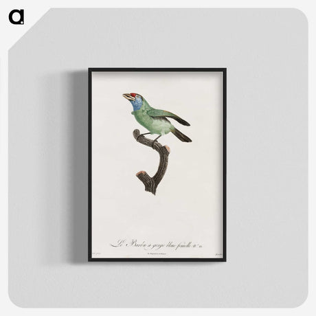 1-65_Des-Oiseaux-de-Paradis_blk-crop