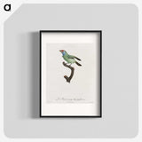1-65_Des-Oiseaux-de-Paradis_blk
