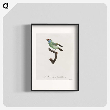 1-65_Des-Oiseaux-de-Paradis_blk