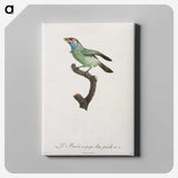 1-65_Des-Oiseaux-de-Paradis_canvas