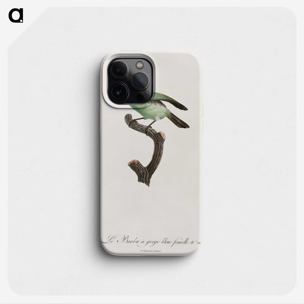 1-65_Des-Oiseaux-de-Paradis_phone