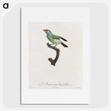 1-65_Des-Oiseaux-de-Paradis_picture